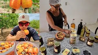 A SAFRA DO CAJÚ É AMELHOR CAJUINA DO CEARÁ É OS DERIVADOS DO CAJÚ BELA CRUZ CE,
