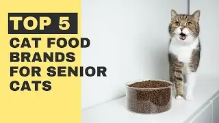 Top 5 Cat Food Brands for Senior Cats - What Is the Best Cat Food for Senior Cats?