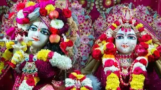Today's Darahan 13.01.26 at Iskcon Indore of Sri Sri Radha Govind 
