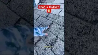 When to replace a roof: Obvious Telltale signs 🤨