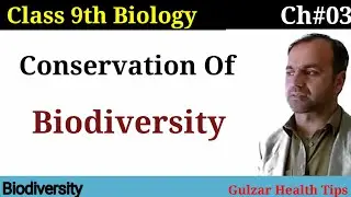 Conservation Of Biodiversity class 9 Biology | Biodiversity