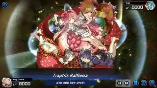 X3 Traptrix Rafflesia