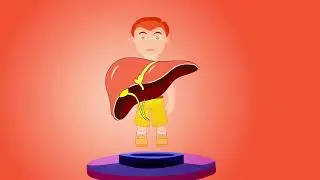 Human Body Vital Organs Explained Simply | Educational Video