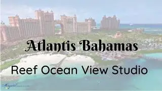 Reef Ocean View Studio | Atlantis Bahamas