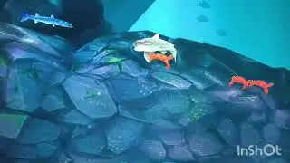 Shark monster 🐳🐋 #shark  #games #gameworld #gamer #gamergamer 