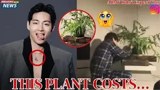 ARMY Worldwide Shocked: The Real Price of Kim Taehyung Plant Revealed