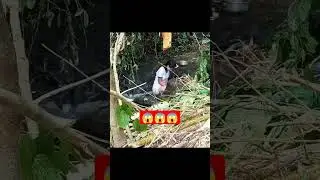 Ngintip cewek mandi di sungai