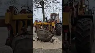 Quercus robur 50-60 transported by loader mounted tree spades | transportiert mit Ballenschneider