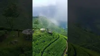 𝗗𝗶𝘆𝗮𝗻𝗮𝗴𝗮𝗹𝗮 𝗩𝗶𝗲𝘄𝗽𝗼𝗶𝗻𝘁 | 𝗕𝗮𝗱𝘂𝗹𝗹𝗮  💚🍀🌳🌲🍃 | 𝐕𝐢𝐬𝐢𝐭 𝐒𝐫𝐢𝐋𝐚𝐧𝐤𝐚