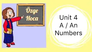 2. Sınıf İngilizce 4. Ünite - A / An - Singular / Plural Konu Anlatımı (Tekil - Çoğul)