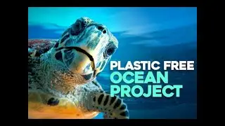 S.O.S Pacific Crisis: The Shocking Truth of Ocean Plastic Pollution! South American Shores in Peril