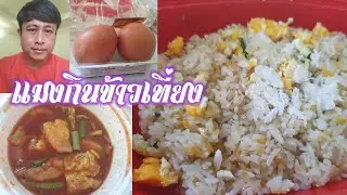 แมงกาบี้กินข้าวมื้อเที่ยง คืนนี้ไลฟ์สดน้องต้นข้าว วัดสระแก้ว อ.พนมทวน จ.กาญจนบุรี 21.00น.
