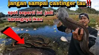 SPOT SELOKAN DANGKAL  JADI ANDALAN‼️
