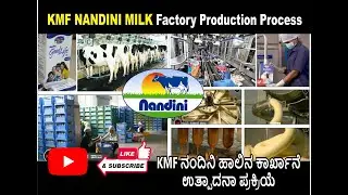 KMF ನಂದಿನಿ ಹಾಲಿನ ಕಾರ್ಖಾನೆ ಉತ್ಪಾದನಾ ಪ್ರಕ್ರಿಯೆ..KMF Nandini Milk Factory Production Process🐄🥛