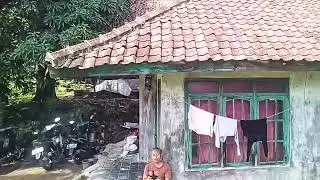 Ngedron pasawahan anu hejo