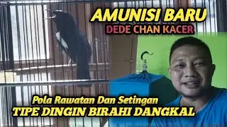 POLA RAWATAN DAN SETINGAN KACER TIPE DINGIN BIRAHI DANGKAL