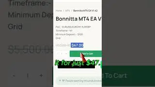 Bonnitta EA MT4  #automatedtrading #forexsoftware #money #trading #ea99store #forextrading