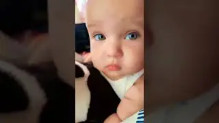 Sharma Gayi Tejas 😍 Cat Toy Se Baaton Mein Busy!