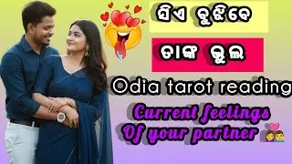 Ajira Rashifala | 13 November 2025  | Today Odia Horoscope | Ajira Rasifala #ajirarasifala 