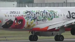 ✈&ldquo;アングリーバード&rdquo; Jetstar Japan A320 JA01JJ landing @Narita Airport rwy34R(成田空港/WX970M)