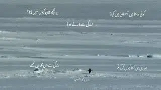 But Why? Penguin 🐧 Ft. Soldier's Story 🫠🥲 #pakarmysoldiersstory #penguin 