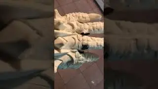 Predator Failed latex pull from mold