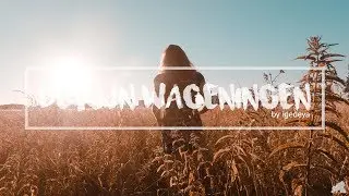 De Rijn: The Cozy River in Wageningen The Netherlands | GoPro Hero 6 Cinematic Video