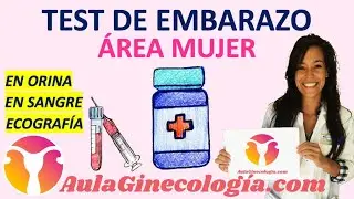 DISTINTOS TEST DE EMBARAZO: EN SANGRE, EN ORINA, ECOGRAFÍA...