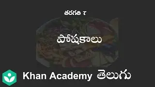 Introduction to nutrients[Telugu] | Food Components | Class 7 | Science | Khan Academy