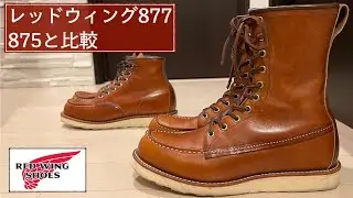 【レッドウィング】アイリッシュセッター877と875を比較