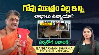 గోవు మూత్రం వల్ల ఇన్ని లాభాలు ఉన్నాయా ? || Gomutra benefits in Telugu || iDream Bhakti