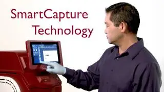 Aplegen   Virtual Conference Loop