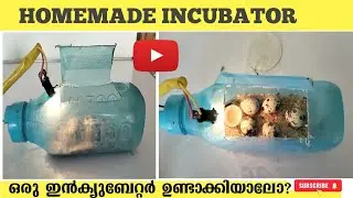 Home made incubator#youtube #diy #chicken #chickenincubator #quaileggs#experiment