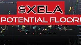 Обзор цены на $XELA The Floor Is In!