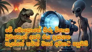 තවමත් පෘථිවියේ ඩයිනෝසරයන් දකින පිටසක්වල ජීවීන්? | The Science of Light Speed #space #sunset #earth