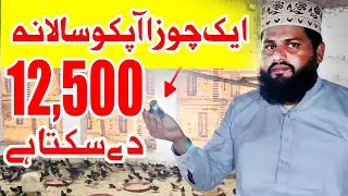 Pure Australorp Hen Farm in Pakistan | Business Point | 03066889466