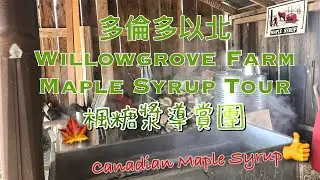 多倫多以北 Willowgrove Farm Maple Syrup Tour 楓糖漿導賞團