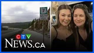 N.B. woman recovering after crash with moose