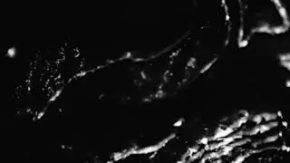 Track. Gian Luca Fanfarillo - Misty Mineral