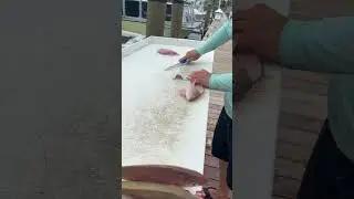 Feeding Tarpon at Hawks Cay Marina! Fishing Key West FL!