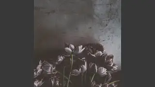 In the Quiet Decay