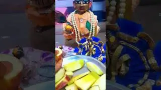 #hey krishna🙏💕/#laddugopalstatus #shortsfeed #radheradhe #gopalji #voral