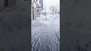 Winter in JAPAN! #shorts