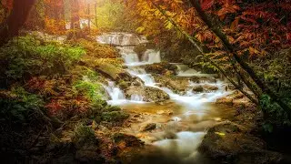 Relaxing Celtic Music: Sleep Music, Flute Music, Meditation Music, Beautiful Relaxing Music ★86