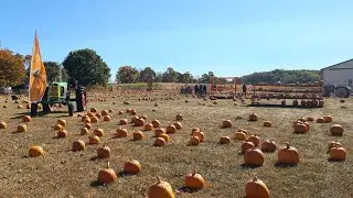 A Day Trip to a Long Island Farm and Few Surprises Along the Way