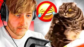 ALS IK LACH... STOPT DE VIDEO!