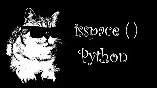 isspace method