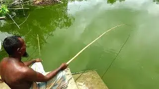 Best Live Fishing Video (Part-82)
