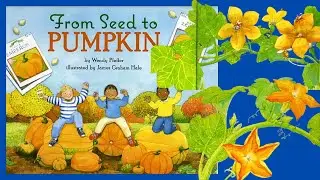 From Seed to Pumpkin (celebrates the wonder of nature) #toddlers #kindergarten #kids #educational
