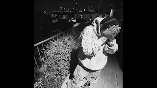 (FREE) WESTSIDE GUNN TYPE BEAT - 